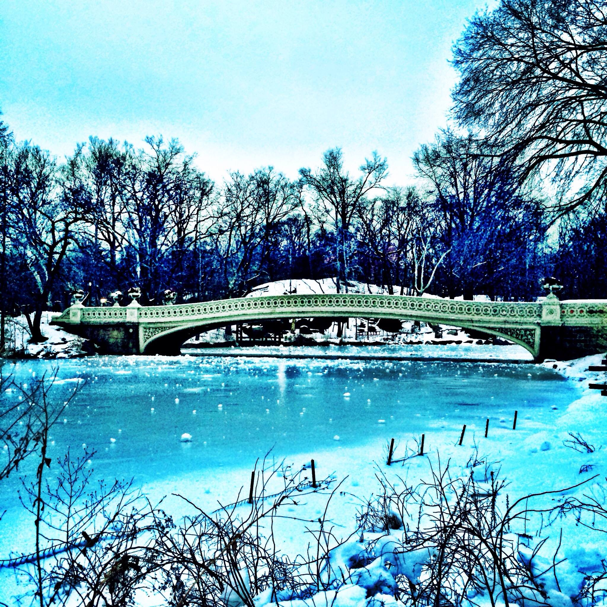 Central Park’s Bow Bridge in winter