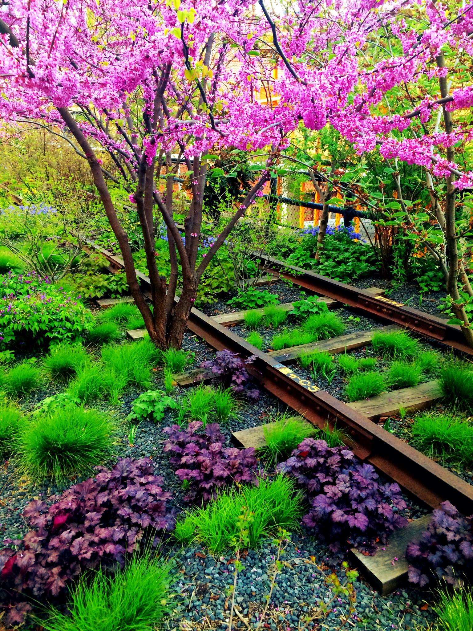 The High Line in spring