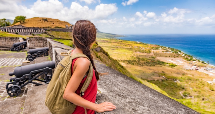 traveler gazing over the island