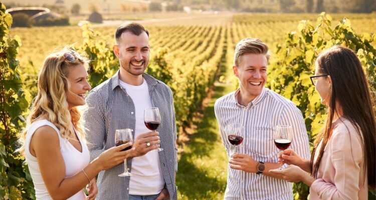 Group of friends drinking at a winery