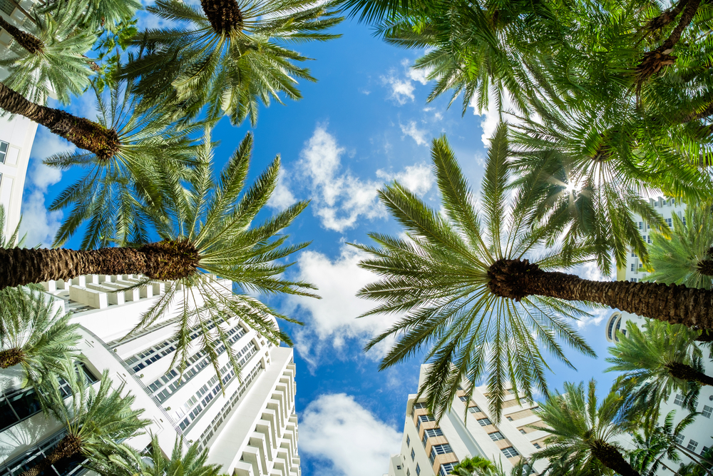 Beautiful Miami Beach fish eye cityscape with art deco architecture and palm trees.