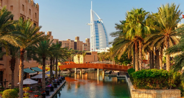 Cityscape with beautiful park with palm trees in Dubai, UAE