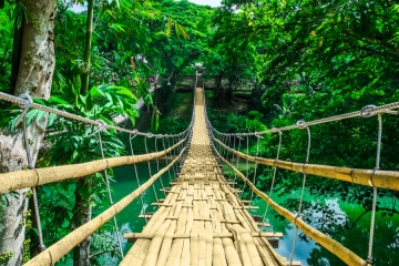 Bamboo pedestrian hanging bridge over river in tropical forest, Bohol, Philippines, Southeast Asia