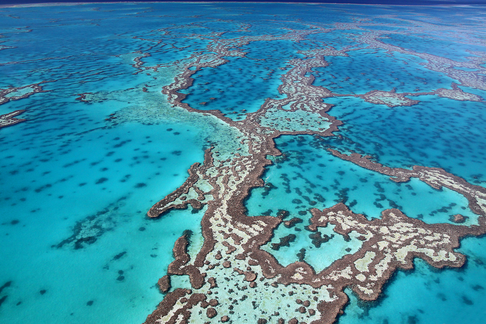 Barrier Reef