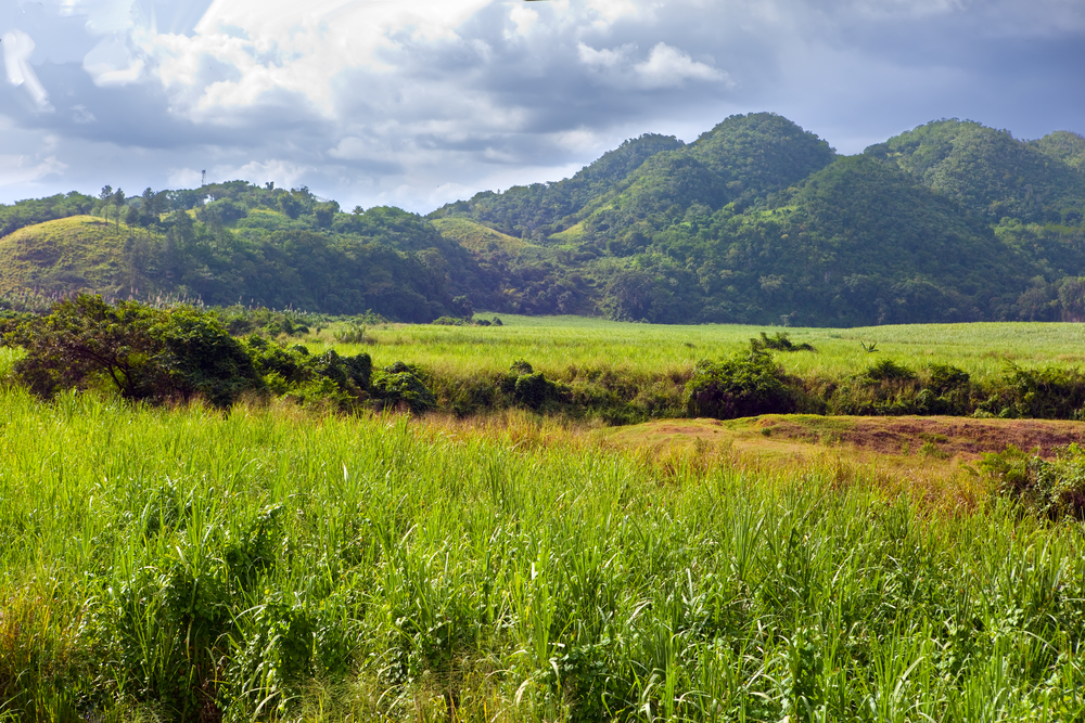 http://www.shutterstock.com/pic-143331508/stock-photo-jamaica-tropical-nature-at-a-foot-of-the-nassau-mountain.html?src=fdjBTuNE1lwptEjOT_hqKA-1-1