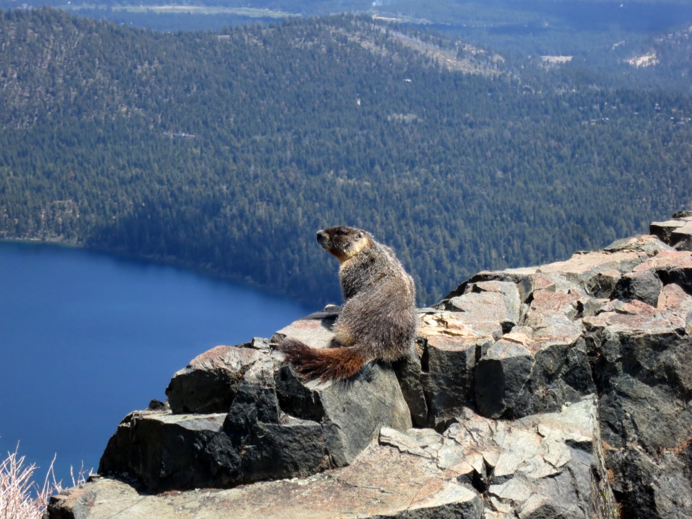 hike_Lake Tahoe