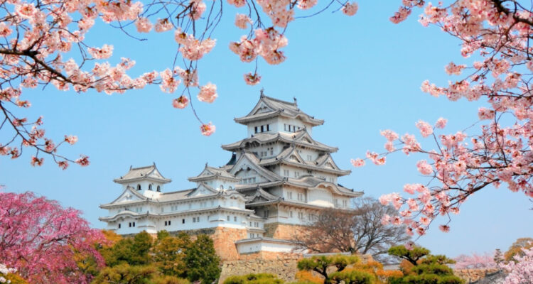 Himeji Castle (1)