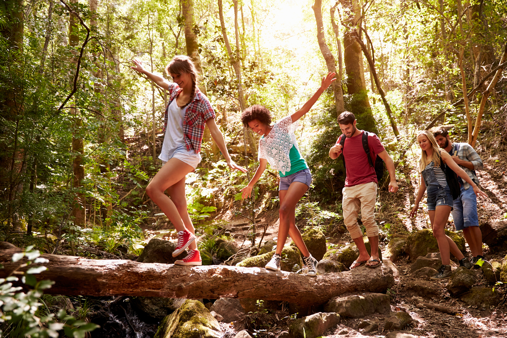 Group Of Friends On Walk Balancing On Tree Trunk In Forest