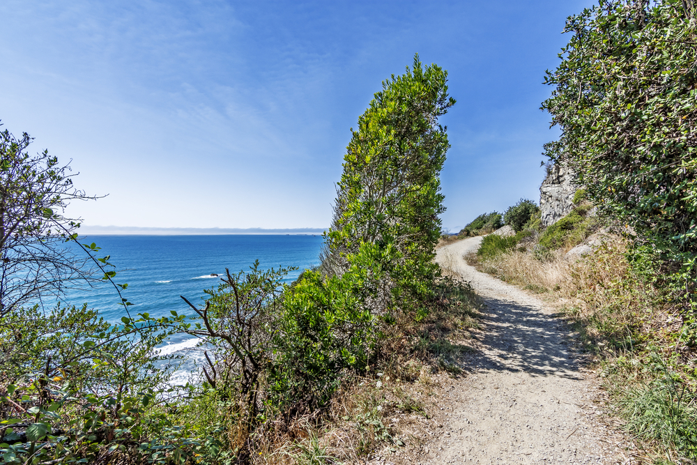 Walking down an old secluded beach trail, perched high on a steep jagged cliff, you see blue & aquamarine seas, surf crashing on a rocky / sandy Northern California beach at the end of Enderts trail.