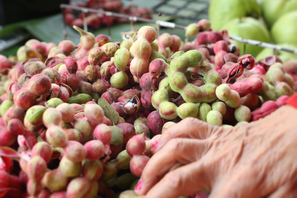 Manila tamarind fruit at the market