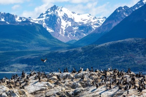 Ilha dos Passaros located on the Beagle Channel in Ushuaia, Argentina