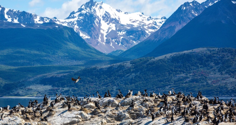 Ilha dos Passaros located on the Beagle Channel in Ushuaia, Argentina