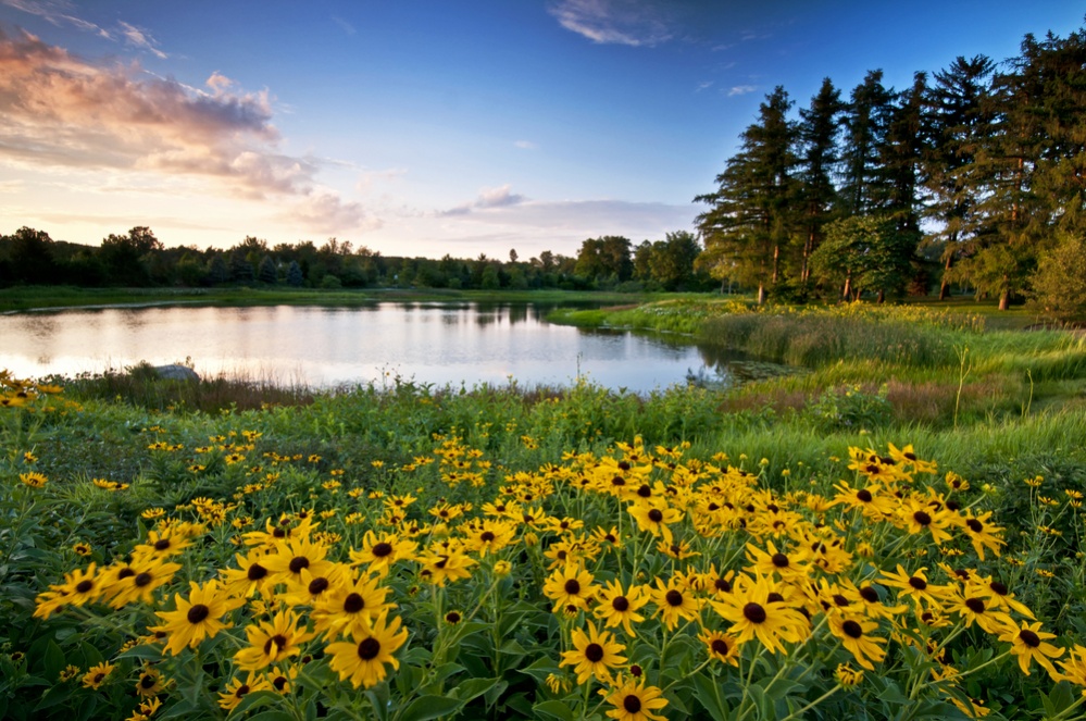 Midwest Beaches: 7 Stunning Landlocked Shores | CheapOair MilesAway