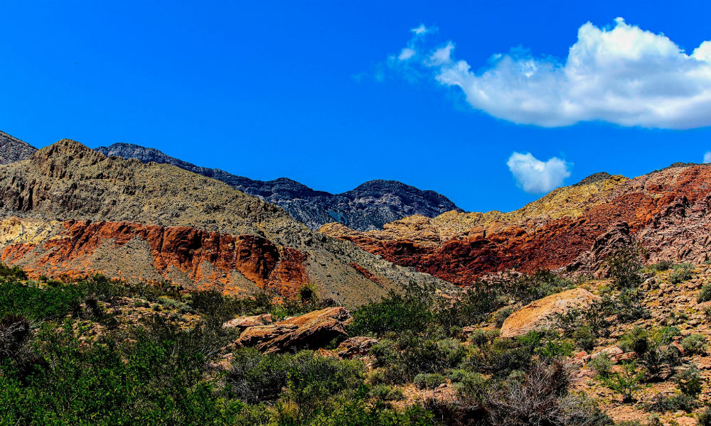 calico basin