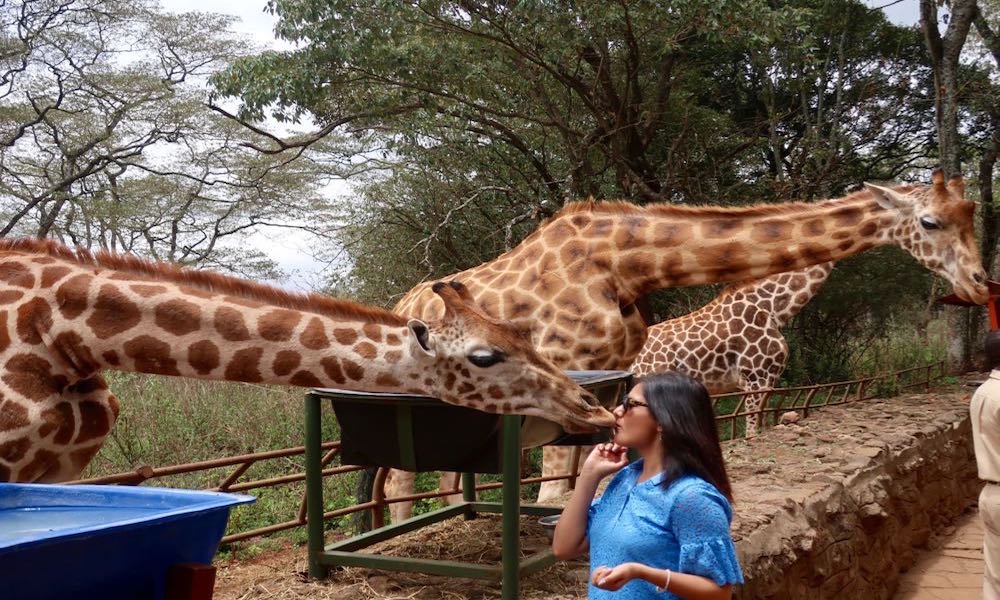 Kenya Safari - Giraffe Center