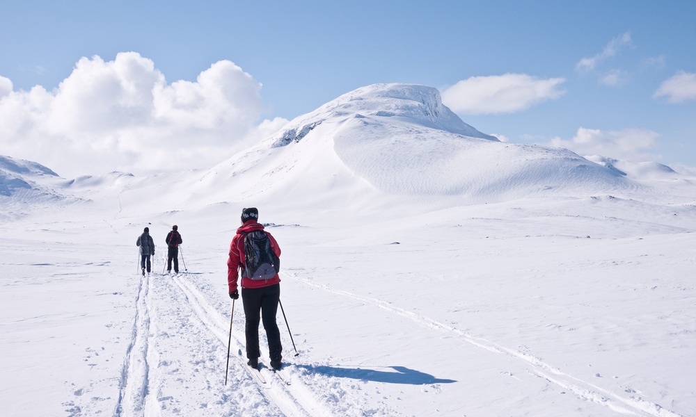 family skiing