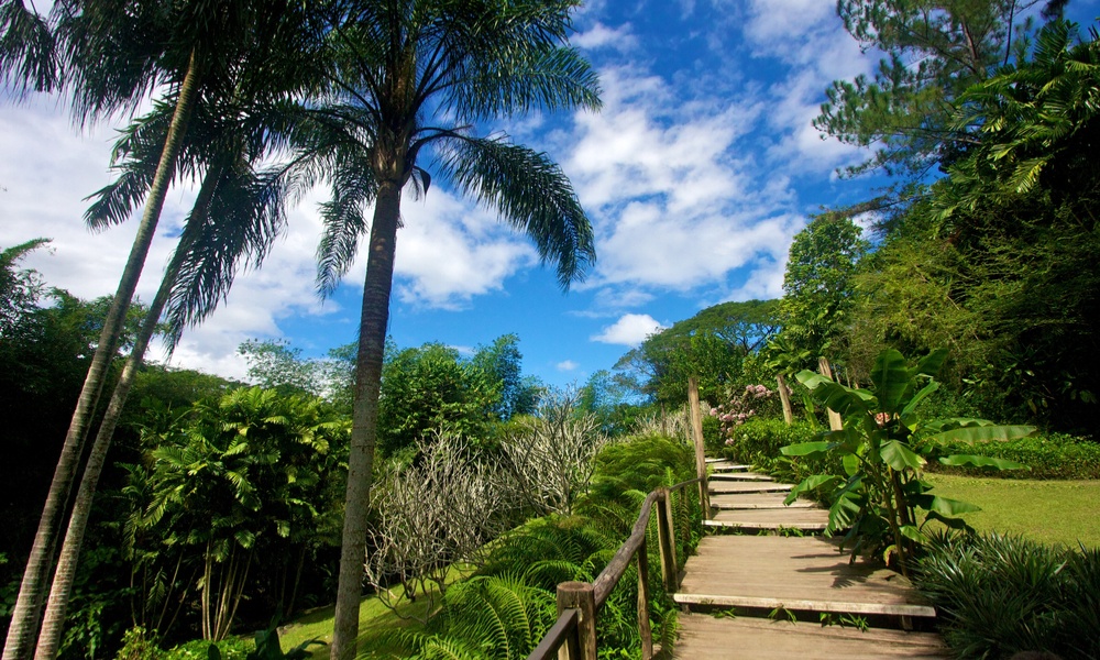 Garden of Sleeping Giant, Fiji