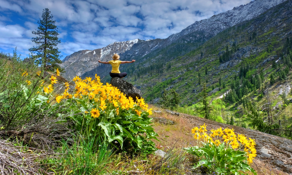 Woman meditating in nature. Arinca flowers in alpine meadows. Cascade Mountains. Oregon. The United States.