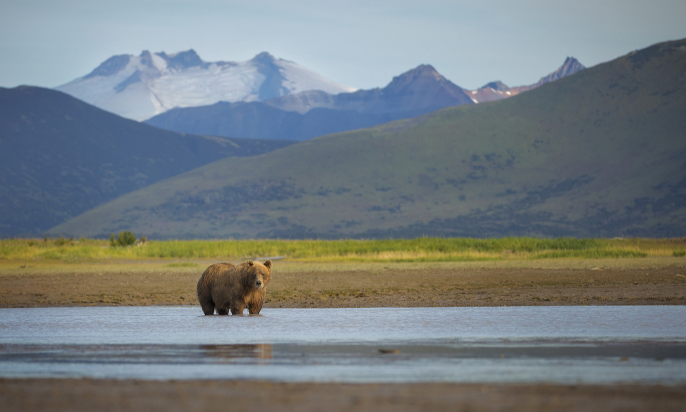 National_Parks_Katmai