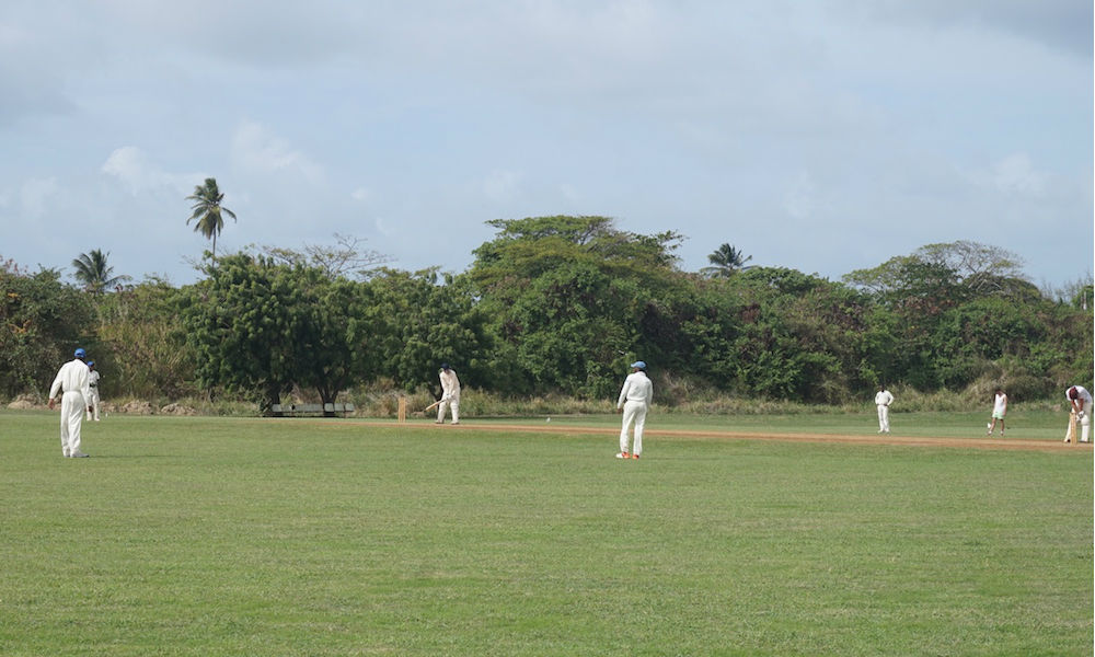 a game of cricket in barbados