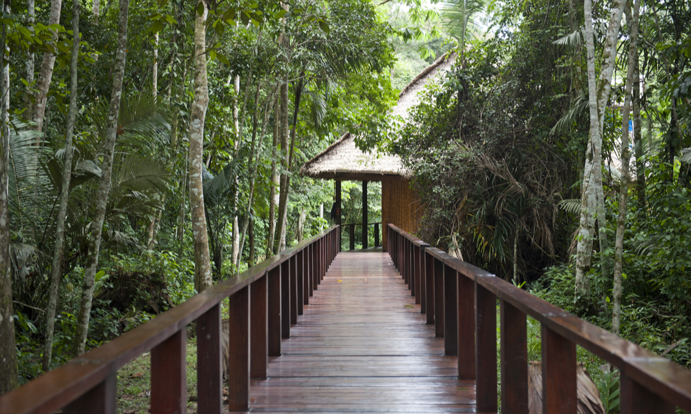 A wooden pathway at an eco lodge in the Tambopa province in Puerto Maldonado.