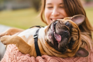 Little dog with owner spend a day at the park playing and having fun