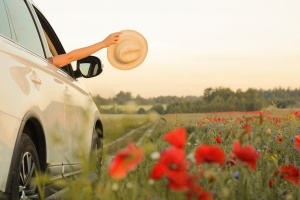 car driving through a field of flowers