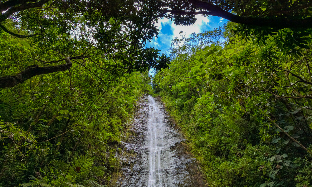 Manoa Falls in Oahu, Hawaii