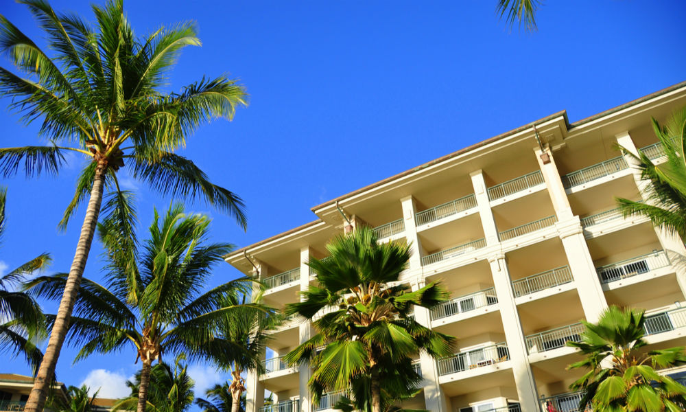 Palm trees on Maui along the Kaanapali beach front walking path with luxury hotel and condos in view.