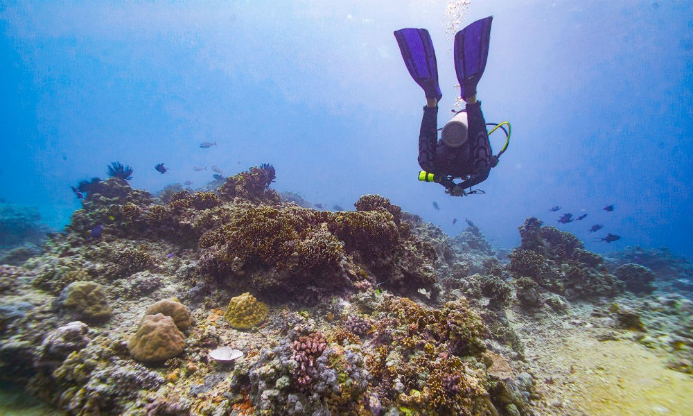 Diver enjoying the underwater sites, The Gili Islands, Lombok Indonesia