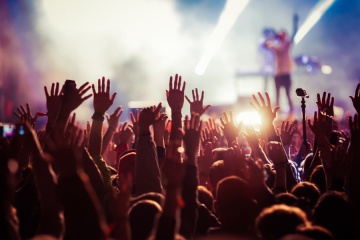 crowd at concert - summer music festival