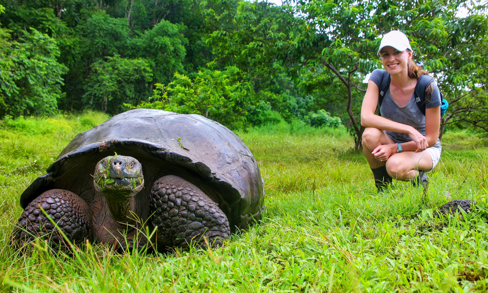 Galapagos giant tortoise with young woman (blurred in background) sitting next to it on Santa Cruz Island in Galapagos National Park, Ecuador.