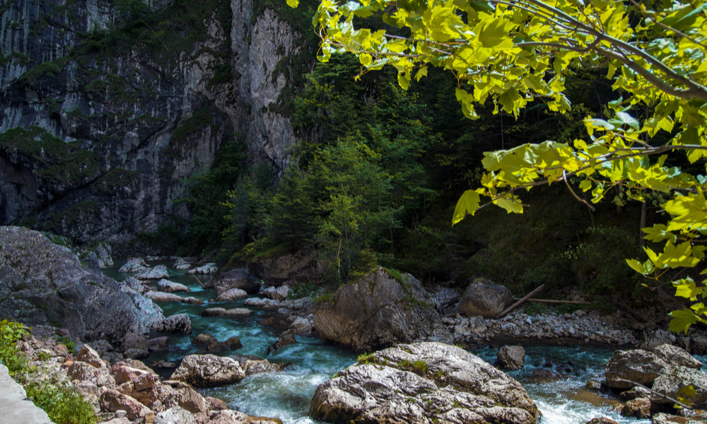 wilderness in moldova