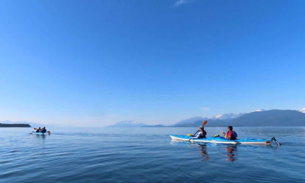 Alaska-Kayaking with whales (1)