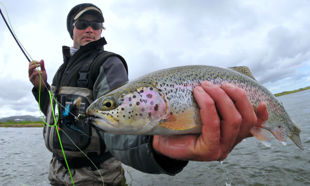 A fly fisher holds a beautiful rainbow trout in Alaska