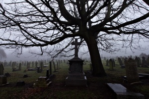 cemetery at night