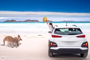 Kangaroo family at Lucky Bay beach in Cape Le Grand National Park near Esperance, Western Australia