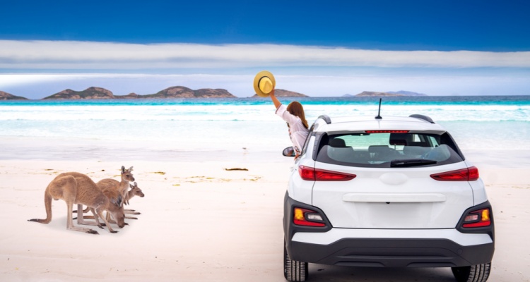 Kangaroo family at Lucky Bay beach in Cape Le Grand National Park near Esperance, Western Australia