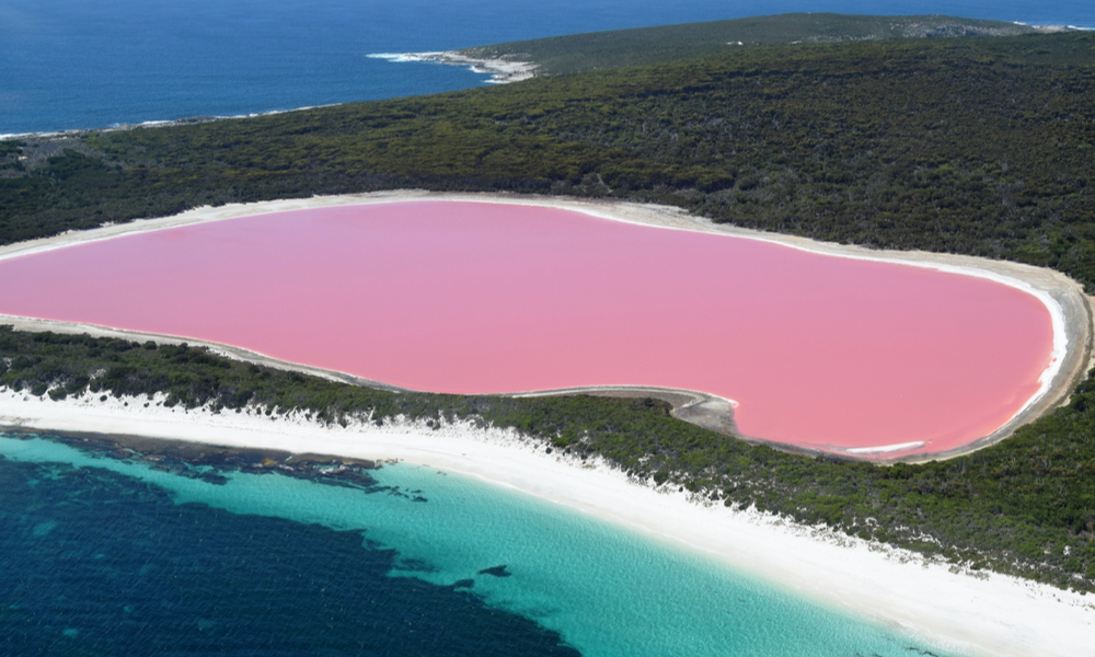 Lake Hillier, Western Australia: Amazing pink lake, natural landmark of Australia, in Middle Island, Recherche Archipelago Nature Reserve, near Esperance.