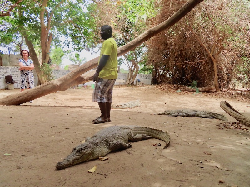 Gambia - Crocodile park 