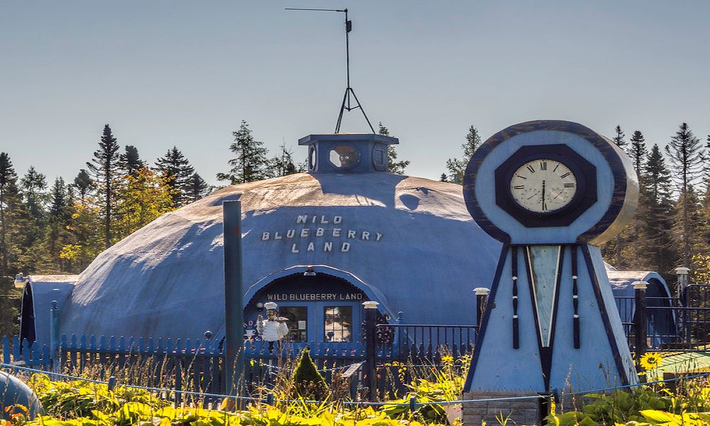 wild blueberry land - roadside attractions