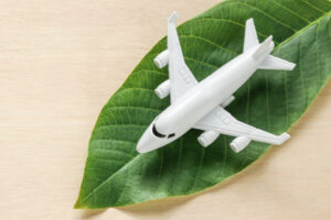 plane leaf