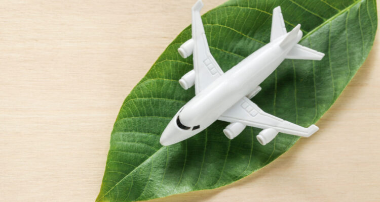 plane leaf