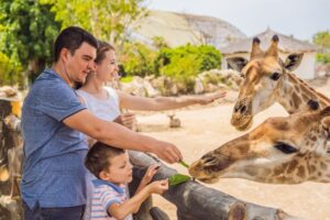 Family at the zoo