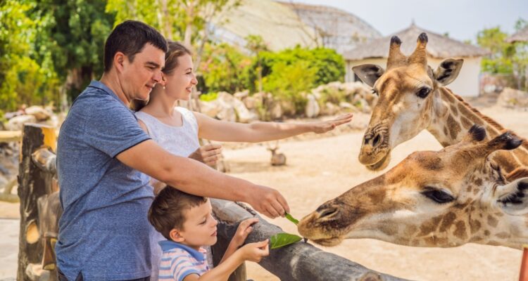 Family at the zoo