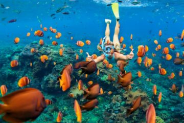 Girl swimming at coral reef