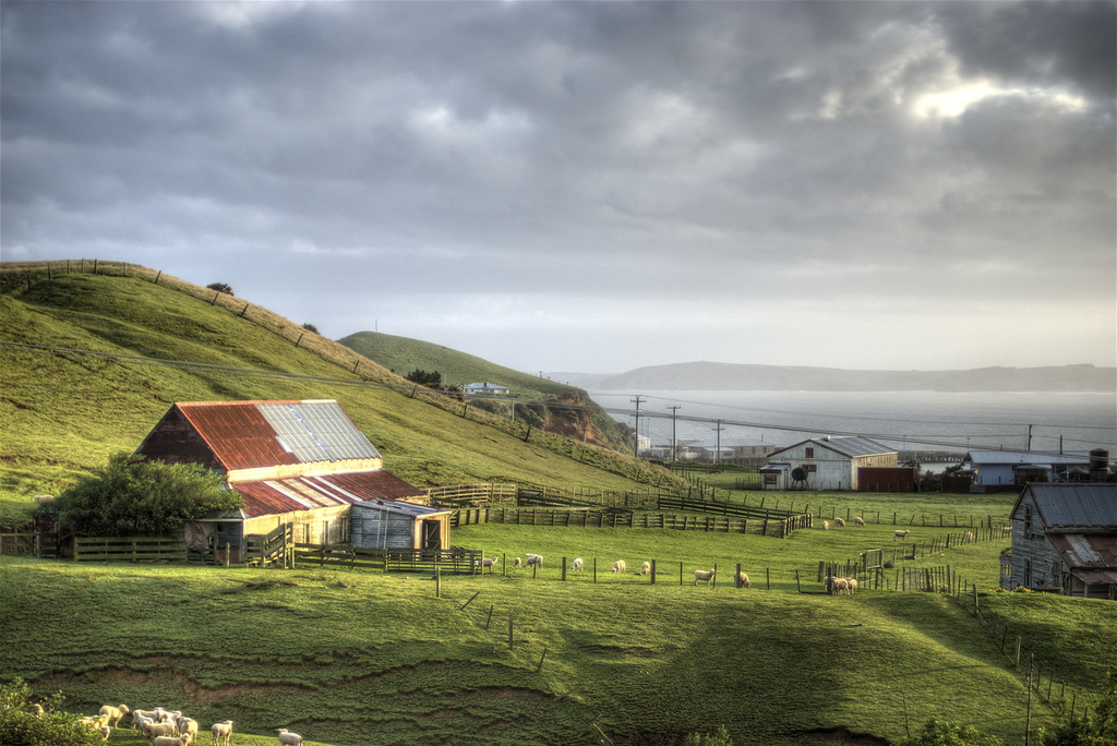 Early morning on the Chatham Islands