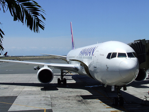 Hawaiian Airlines had the best on-time performance in 2009