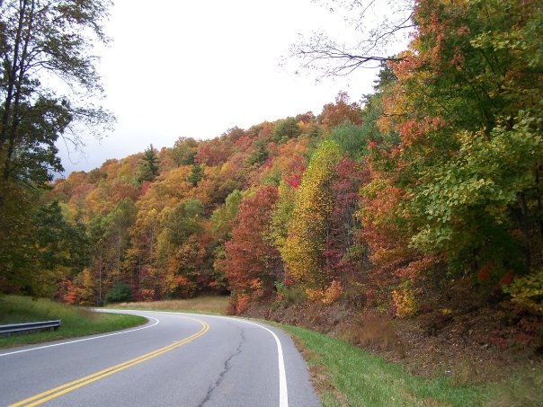 A beautiful stretch along the mountain roads of Georgia (Image: Diana Edelman)