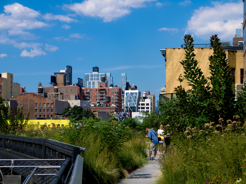 Highline Park in New York City (Flickr image courtesy of thefors)